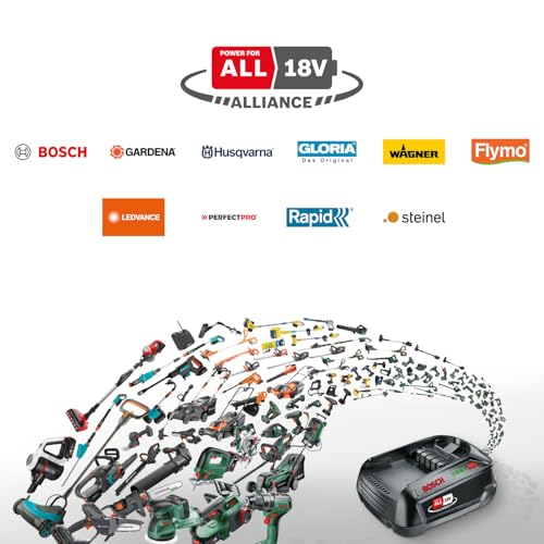 41CV3hJFf6L._SL500_